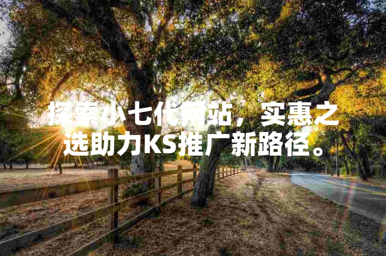 探索小七代网站，实惠之选助力KS推广新路径。