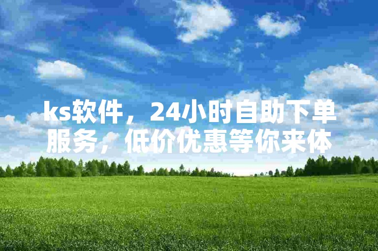 ks软件，24小时自助下单服务，低价优惠等你来体验。