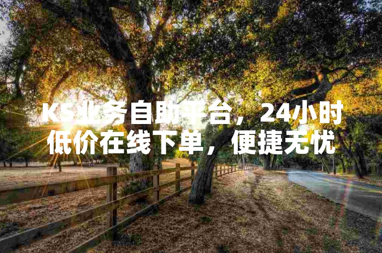KS业务自助平台，24小时低价在线下单，便捷无忧。
