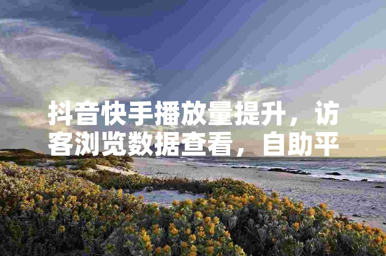 抖音快手播放量提升，访客浏览数据查看，自助平台便捷登录。