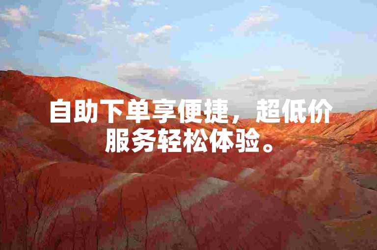 自助下单享便捷，超低价服务轻松体验。