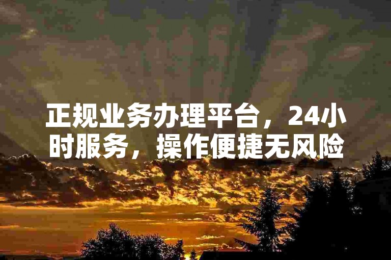 正规业务办理平台，24小时服务，操作便捷无风险。