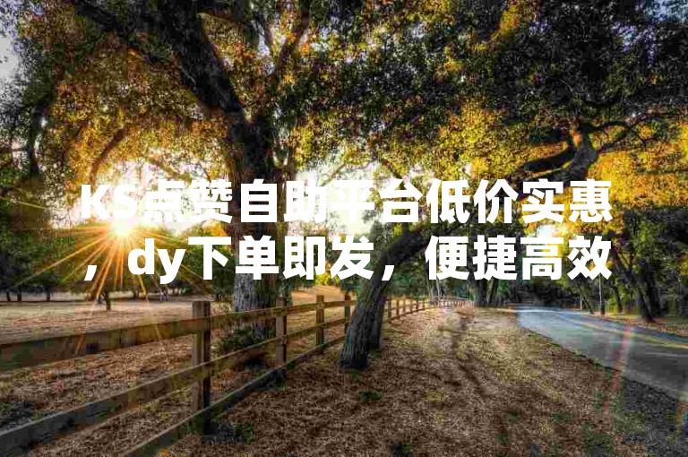 KS点赞自助平台低价实惠，dy下单即发，便捷高效助推广。