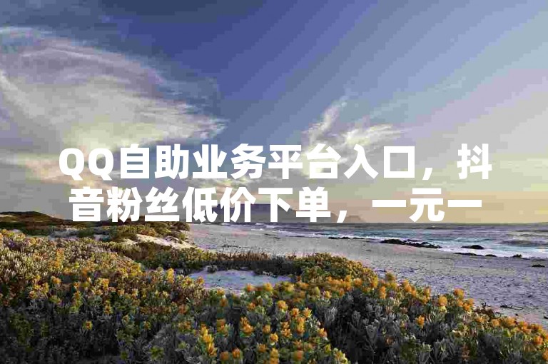QQ自助业务平台入口，抖音粉丝低价下单，一元一千个。