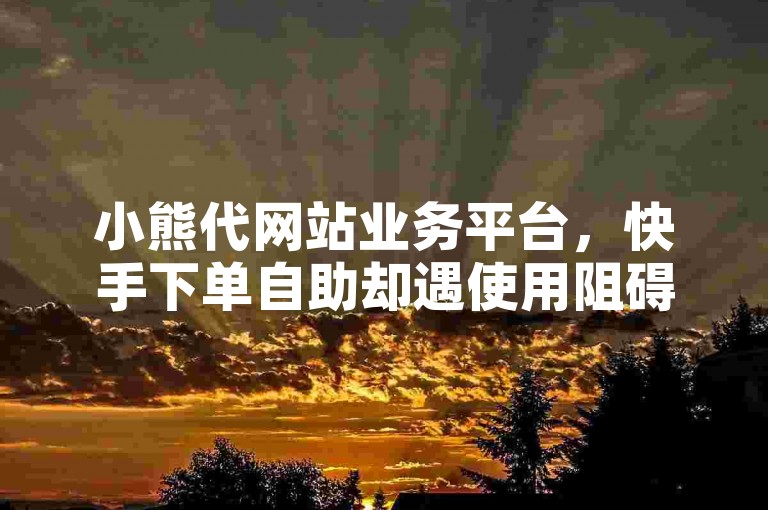 小熊代网站业务平台，快手下单自助却遇使用阻碍