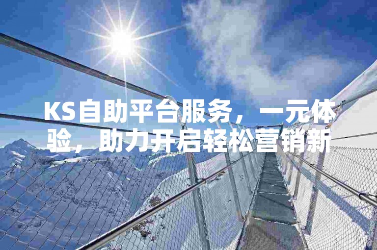 KS自助平台服务，一元体验，助力开启轻松营销新探索