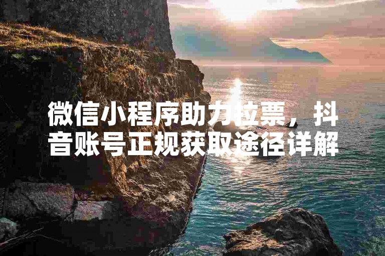 微信小程序助力拉票，抖音账号正规获取途径详解。