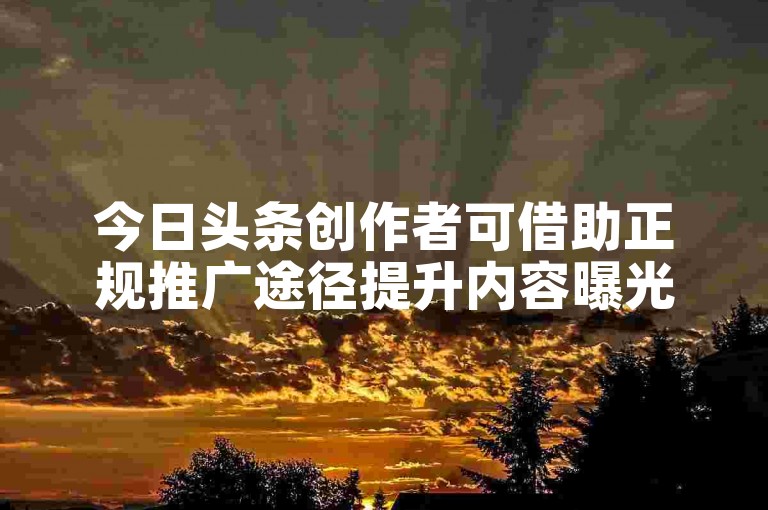 今日头条创作者可借助正规推广途径提升内容曝光度。