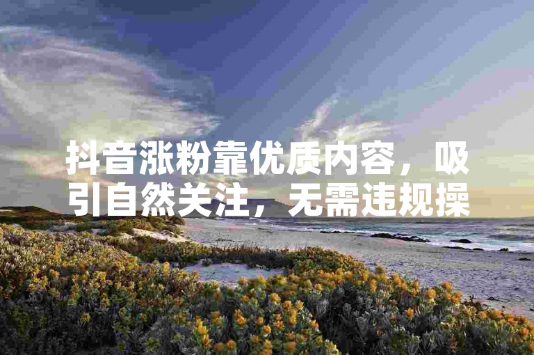 抖音涨粉靠优质内容，吸引自然关注，无需违规操作。