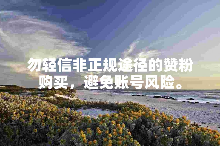 勿轻信非正规途径的赞粉购买，避免账号风险。
