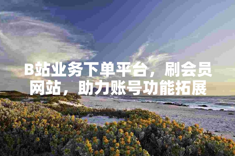 B站业务下单平台，刷会员网站，助力账号功能拓展。