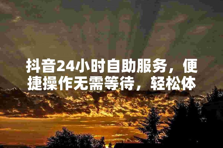 抖音24小时自助服务，便捷操作无需等待，轻松体验。