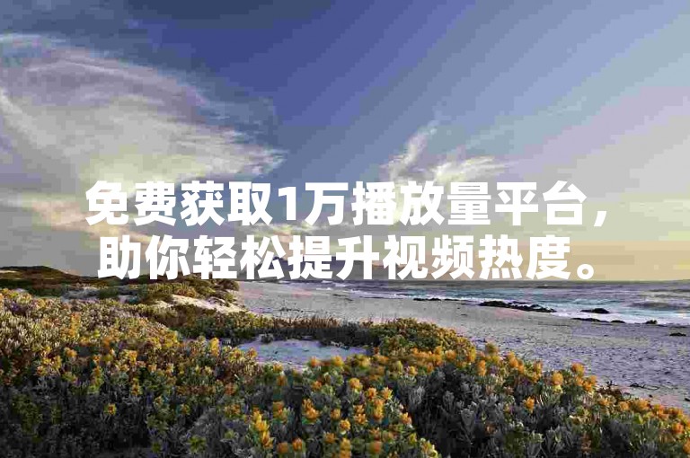 免费获取1万播放量平台，助你轻松提升视频热度。