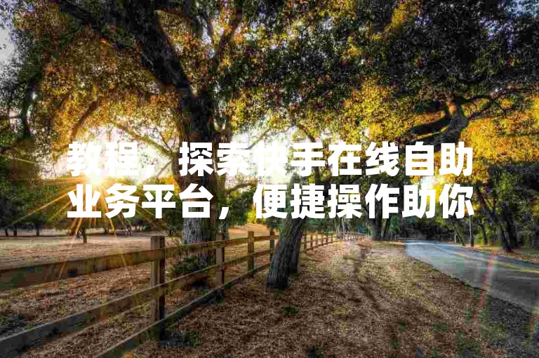 教程，探索快手在线自助业务平台，便捷操作助你高效管理。