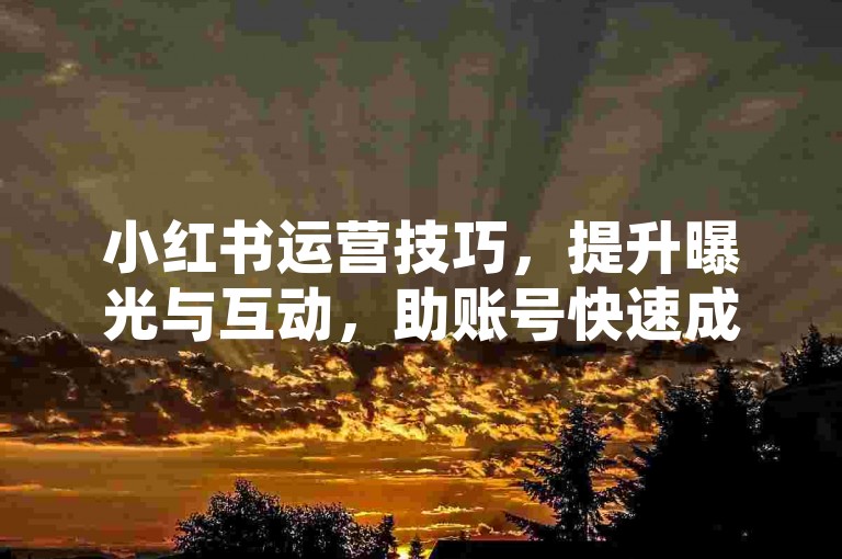 小红书运营技巧，提升曝光与互动，助账号快速成长。