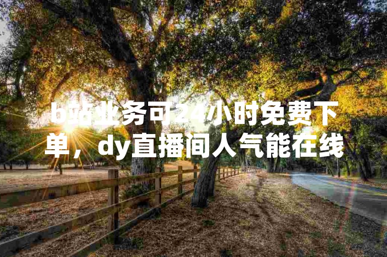 b站业务可24小时免费下单，dy直播间人气能在线操作。