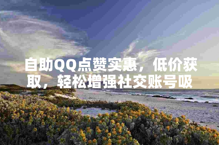 自助QQ点赞实惠，低价获取，轻松增强社交账号吸引力！