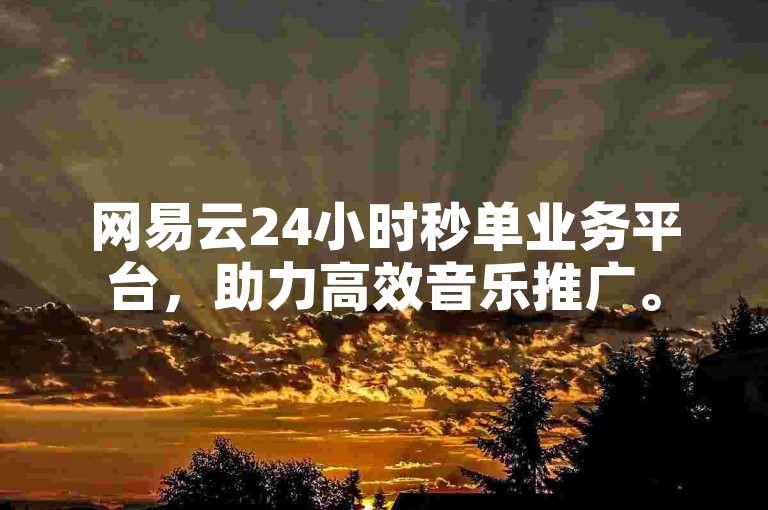 网易云24小时秒单业务平台，助力高效音乐推广。