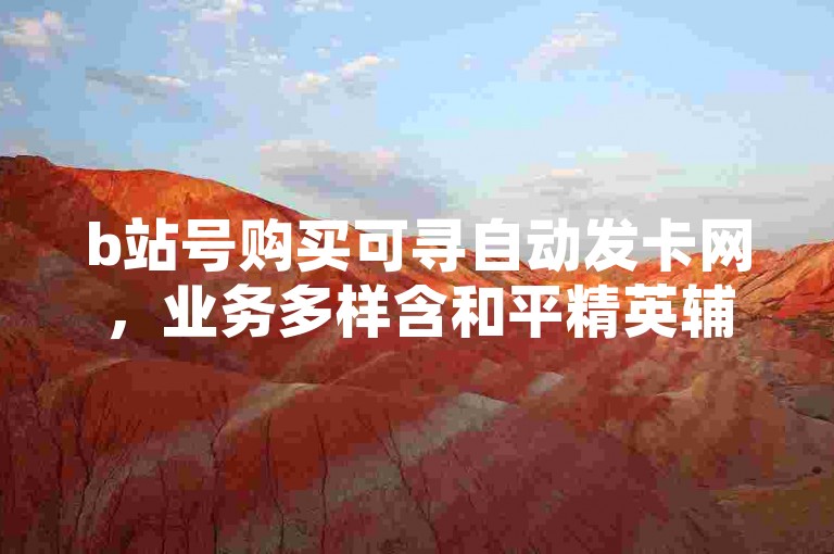 b站号购买可寻自动发卡网，业务多样含和平精英辅助等。