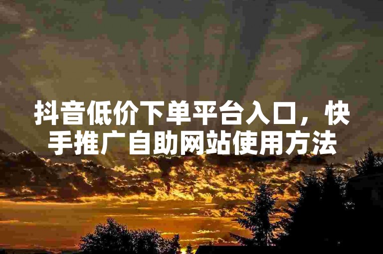 抖音低价下单平台入口，快手推广自助网站使用方法详解。