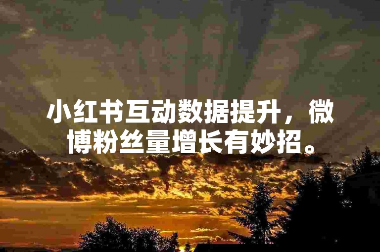 小红书互动数据提升，微博粉丝量增长有妙招。