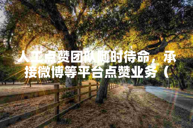 人工点赞团队随时待命，承接微博等平台点赞业务（此行为可能违反平台规定）。