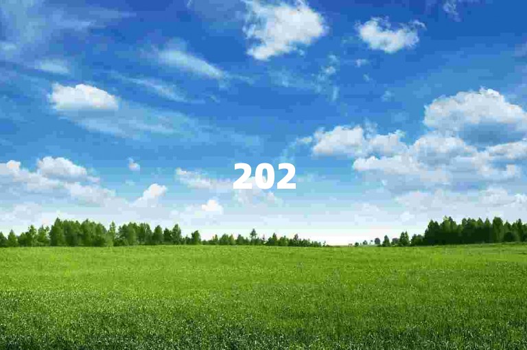2025必学！快手平台自助业务低价技巧独家揭秘