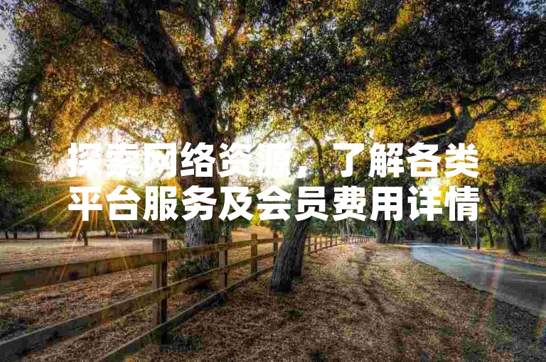 探索网络资源，了解各类平台服务及会员费用详情。