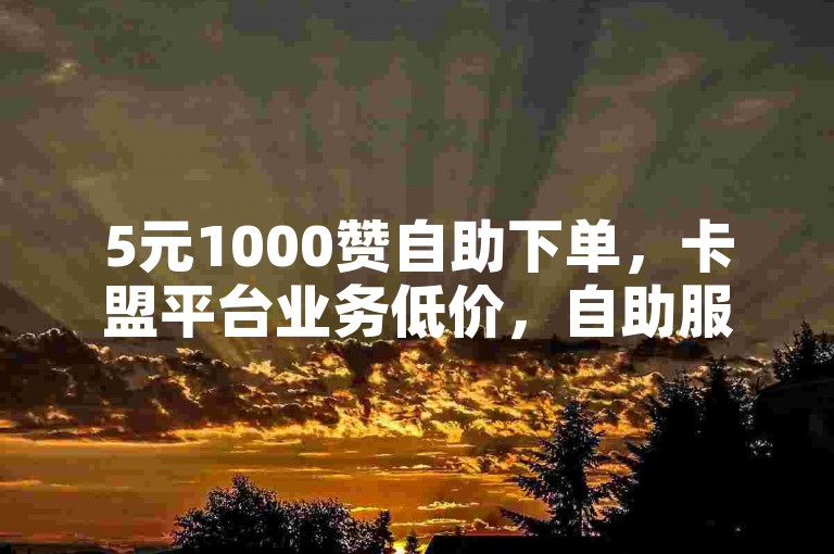 5元1000赞自助下单，卡盟平台业务低价，自助服务便捷可寻。