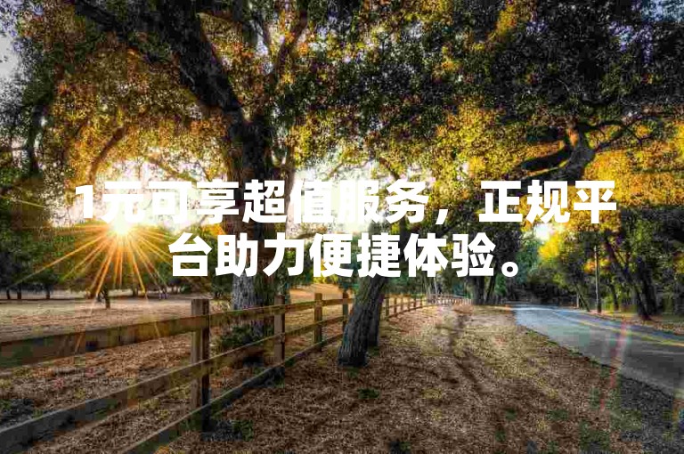 1元可享超值服务，正规平台助力便捷体验。