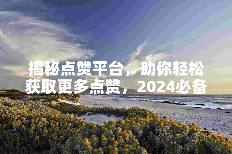 揭秘点赞平台，助你轻松获取更多点赞，2024必备技巧！