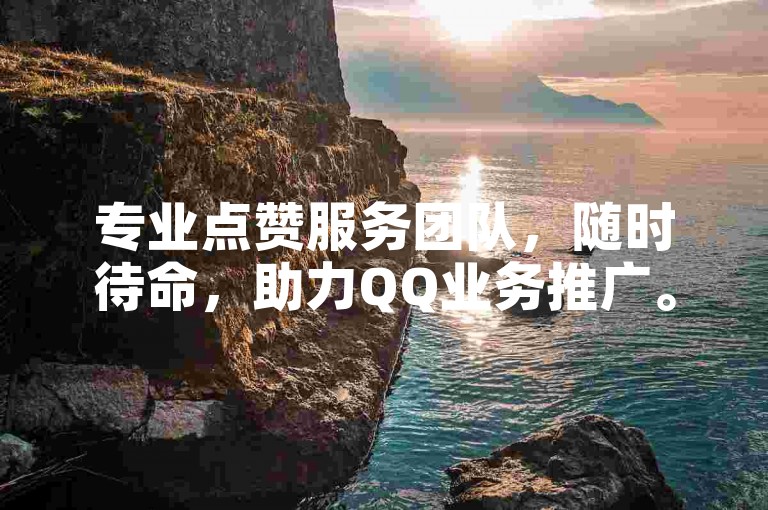 专业点赞服务团队，随时待命，助力QQ业务推广。