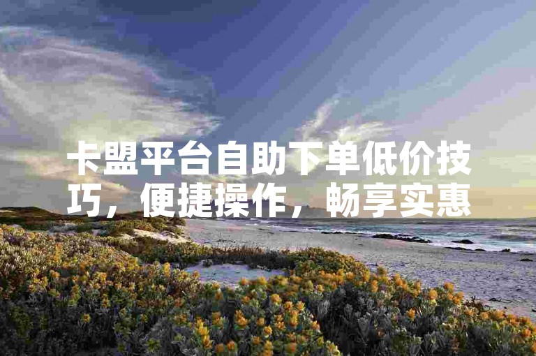 卡盟平台自助下单低价技巧，便捷操作，畅享实惠，2024速学！