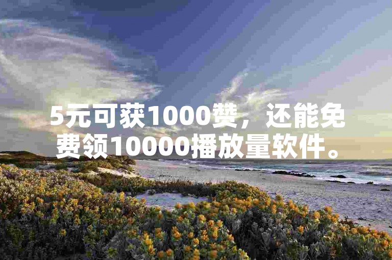 5元可获1000赞，还能免费领10000播放量软件。
