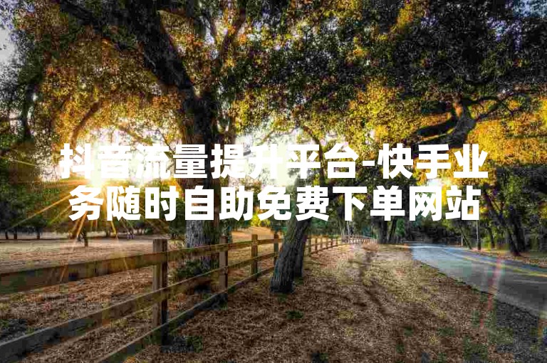 抖音流量提升平台-快手业务随时自助免费下单网站