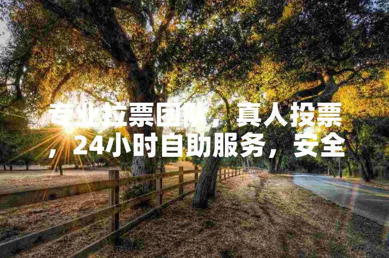 专业拉票团队，真人投票，24小时自助服务，安全高效。