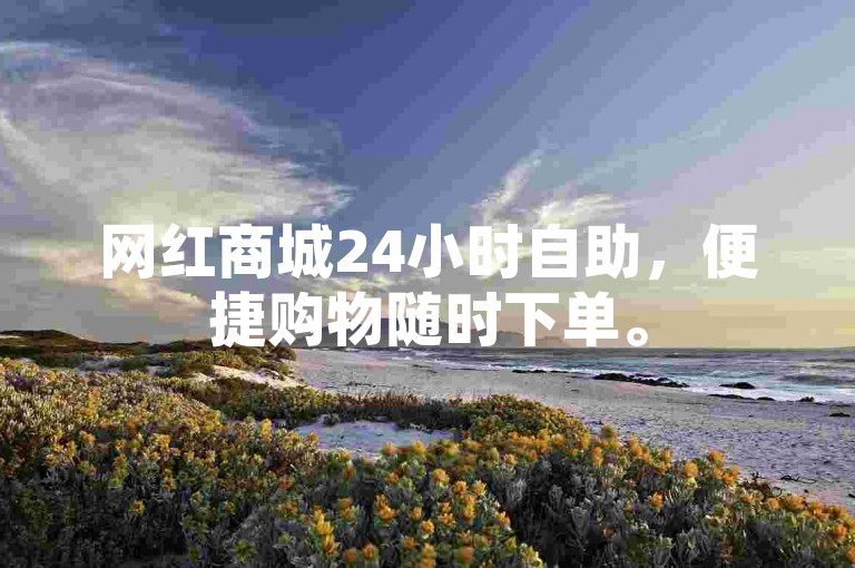 网红商城24小时自助，便捷购物随时下单。