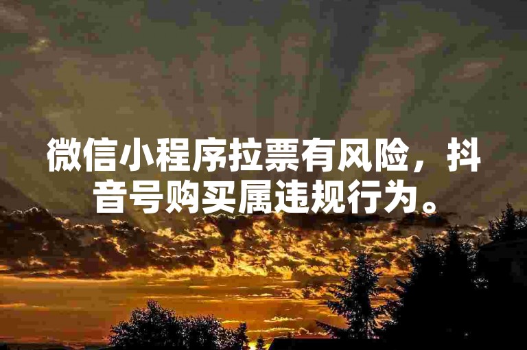 微信小程序拉票有风险，抖音号购买属违规行为。