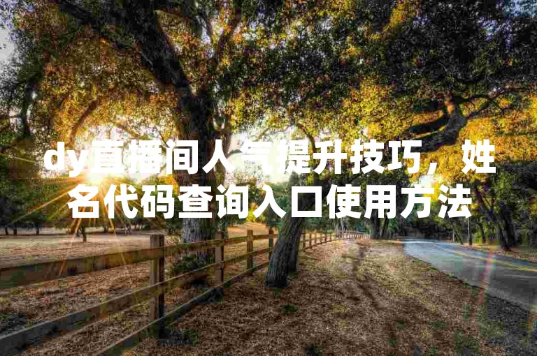 dy直播间人气提升技巧，姓名代码查询入口使用方法详解