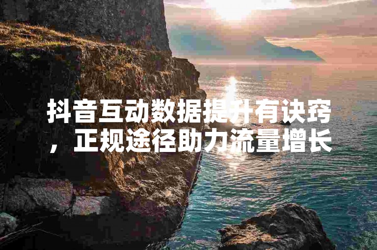 抖音互动数据提升有诀窍，正规途径助力流量增长。