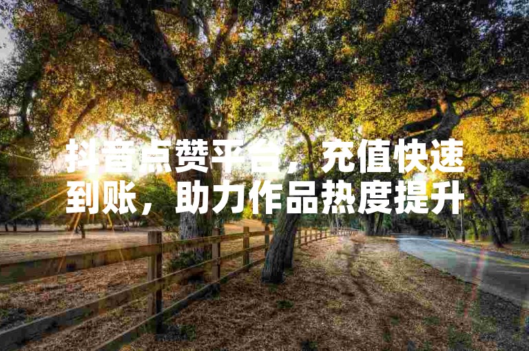 抖音点赞平台，充值快速到账，助力作品热度提升
