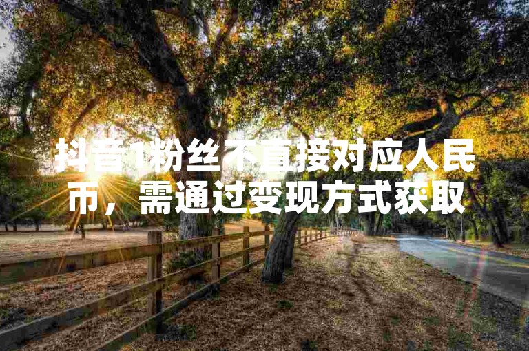 抖音1粉丝不直接对应人民币，需通过变现方式获取收益。