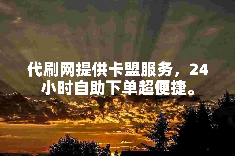 代刷网提供卡盟服务，24小时自助下单超便捷。