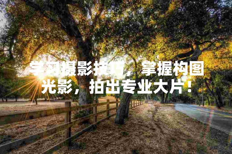 学习摄影技巧，掌握构图光影，拍出专业大片！