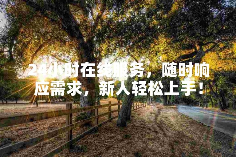 24小时在线服务，随时响应需求，新人轻松上手！