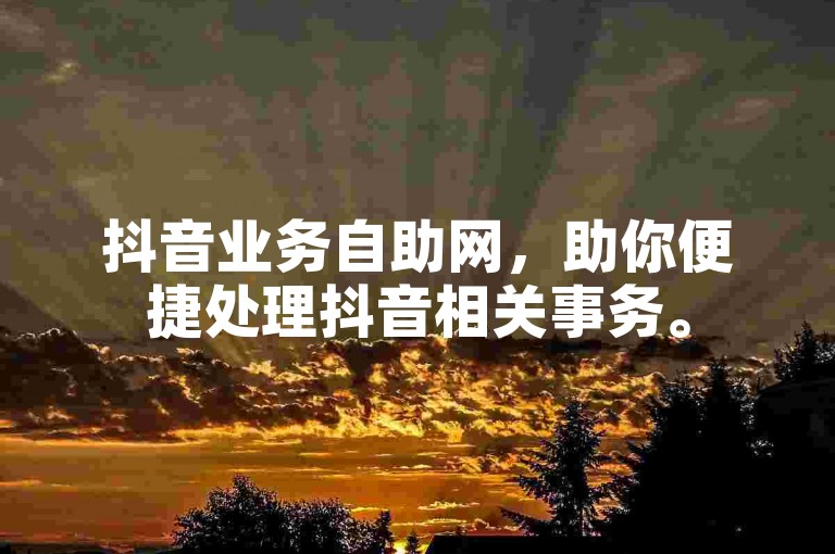 抖音业务自助网，助你便捷处理抖音相关事务。