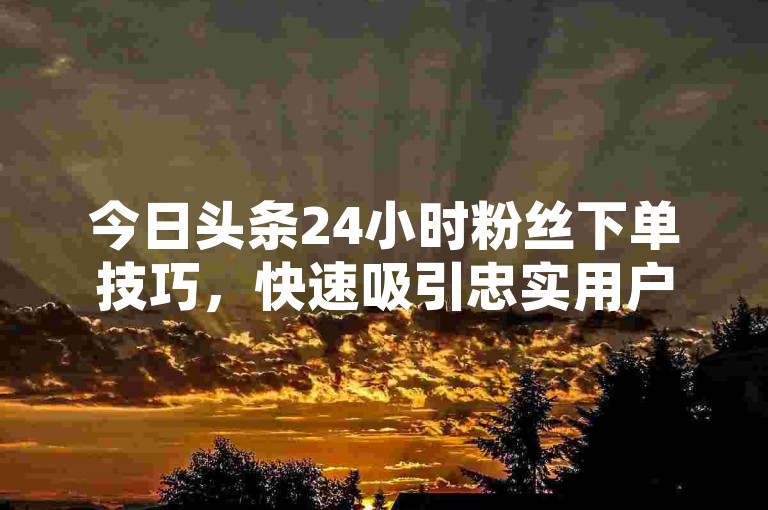 今日头条24小时粉丝下单技巧，快速吸引忠实用户立即行动！