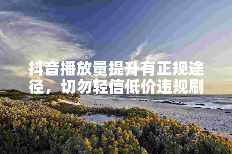 抖音播放量提升有正规途径，切勿轻信低价违规刷量服务。