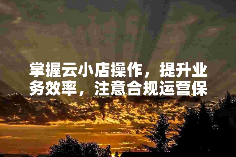 掌握云小店操作，提升业务效率，注意合规运营保稳定。