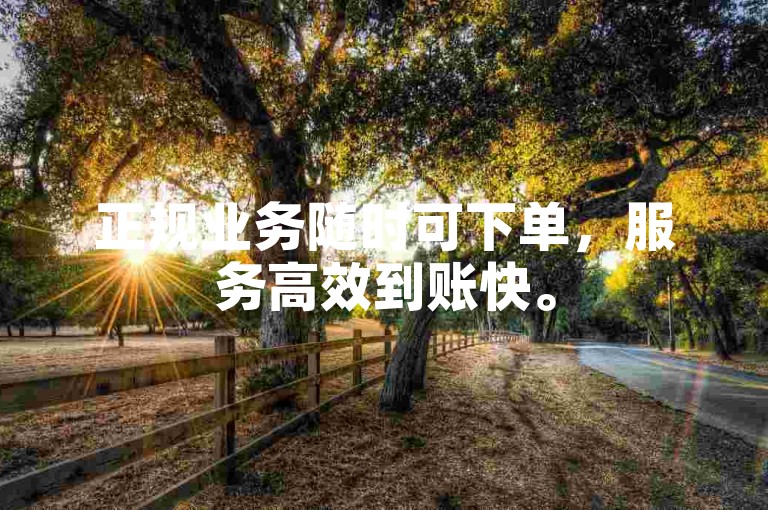 正规业务随时可下单，服务高效到账快。